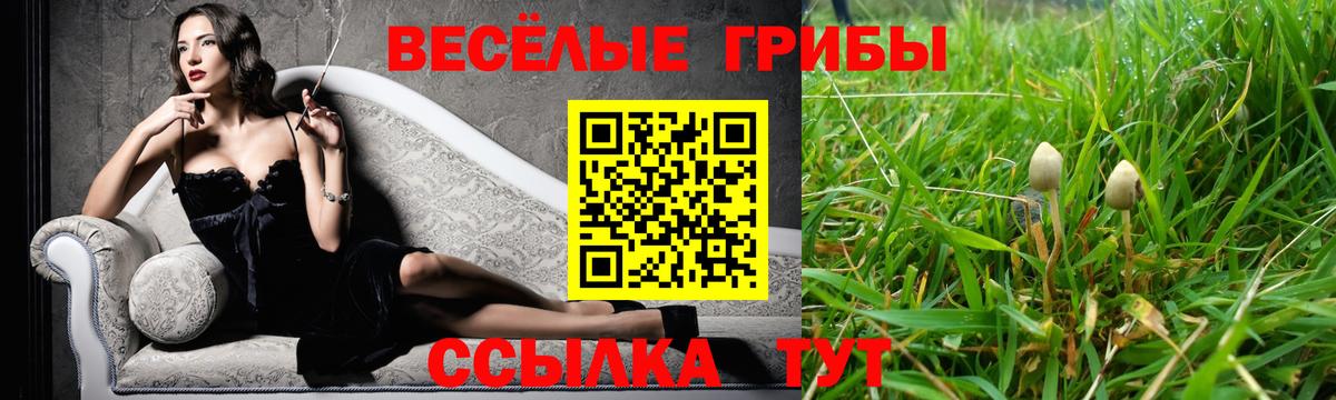 Псилоцибиновые грибы GOLDEN TEACHER Карачаевск